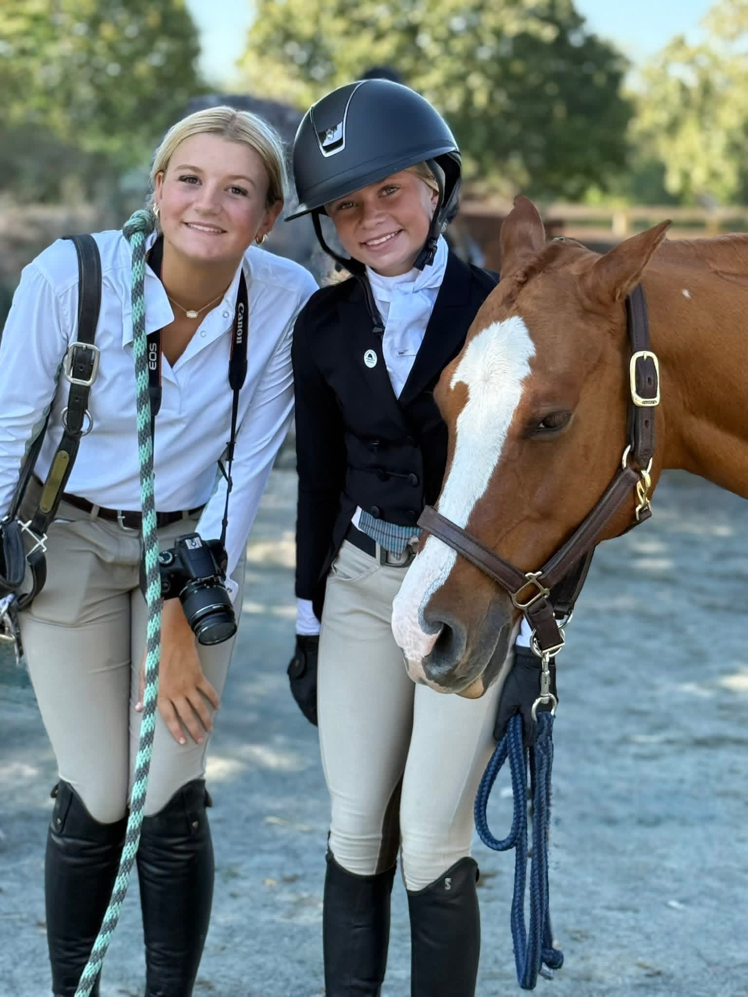 Car Dealer Team Member