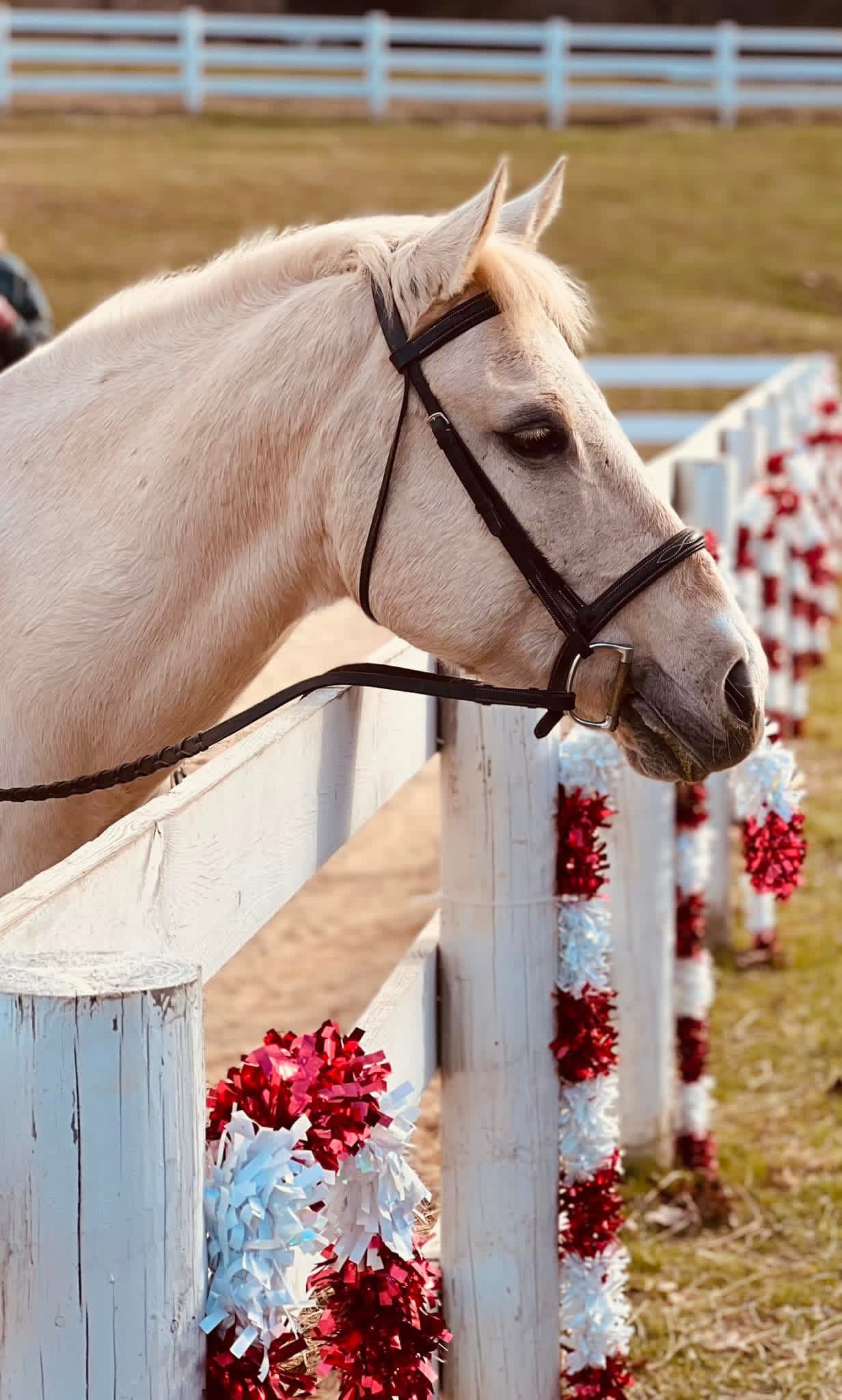 Car Dealer Team Member